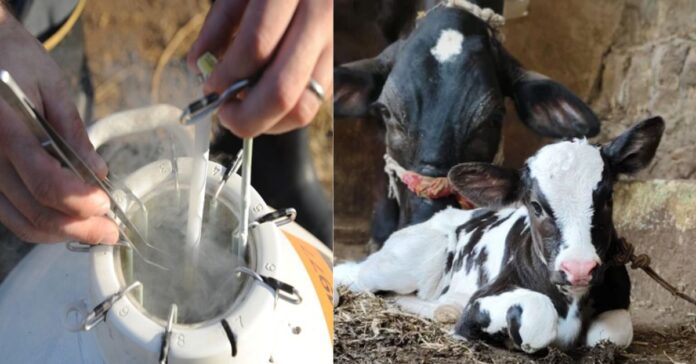 पहली सैक्स सोर्टेड सीमन लैब